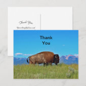 Buffalo bedankans kaart (Voorkant / Achterkant)