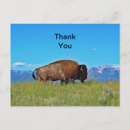 Buffalo bedankkaart briefkaart