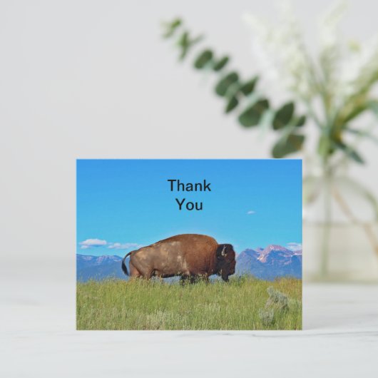 Buffalo bedankkaart briefkaart (Staand voorkant)