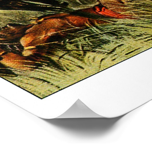 Buffalo Bill - Afdrukken Poster (Hoek)