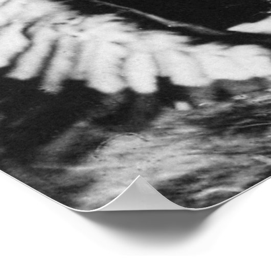 Buffalo Bill Cody & Sitting Bull - Circa 1885 Poster (Hoek)