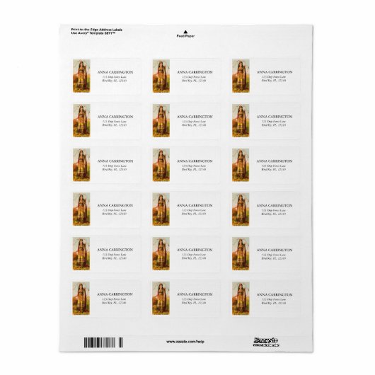 Buffalo Bill Handsomest Indiase Maiden 1880s Etiket (Full Sheet)