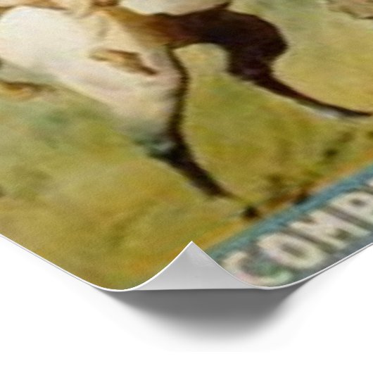 Buffalo Bill's Wilde West Show Poster (Hoek)