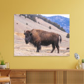 Buffalo Bison American Wildlife Canvas Afdruk (Insitu (Woonkamer))