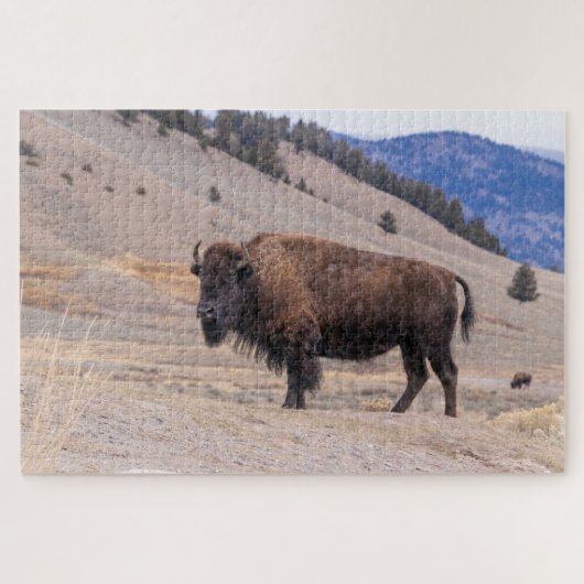 Buffalo Bison American Wildlife Legpuzzel (Horizontaal)