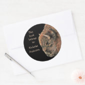 Buffalo Bison Animal Wildlife Bookplaat Ronde Sticker (Envelop)