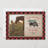 Buffalo Bison Burlap Rustige kerstboom Foto Feestdagenkaart (Voorkant)
