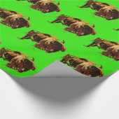 Buffalo Bison Cadeaupapier (Hoek)