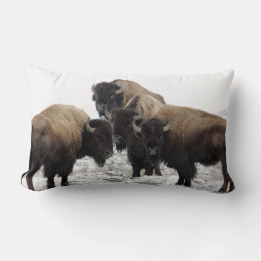 Buffalo Bison Decoratief Sierkussen Kussen (Voorkant)
