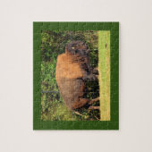 Buffalo (Bison) Kansas, Oklahoma, Wyoming Legpuzzel (Verticaal)