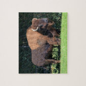 Buffalo (Bison) Kansas, Oklahoma, Wyoming Legpuzzel (Verticaal)
