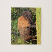 Buffalo (Bison) Kansas, Oklahoma, Wyoming Legpuzzel (Verticaal)