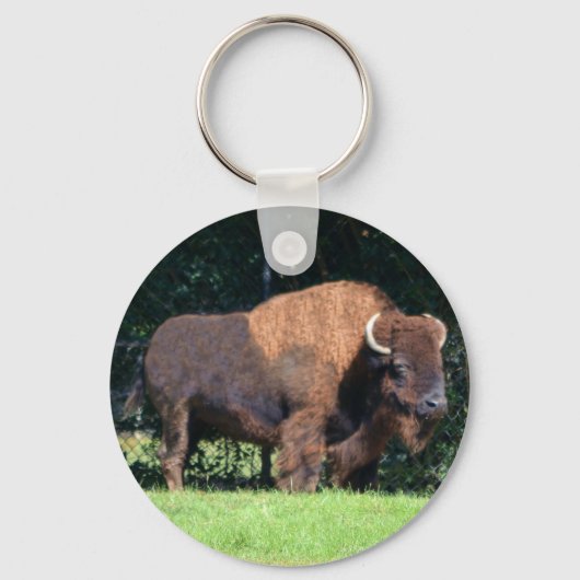 Buffalo (Bison) Kansas, Oklahoma, Wyoming Sleutelhanger (Voorkant)