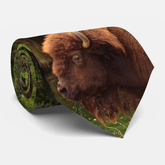 Buffalo (Bison) Kansas, Oklahoma, Wyoming Stropdas (Opgerold)