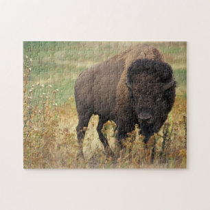 Buffalo Bison Legpuzzel