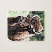Buffalo (Bison) Legpuzzel (Horizontaal)