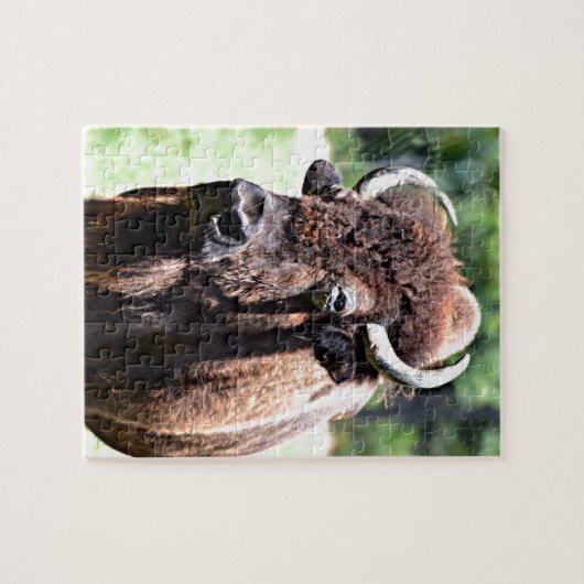 Buffalo (Bison) Legpuzzel (Horizontaal)