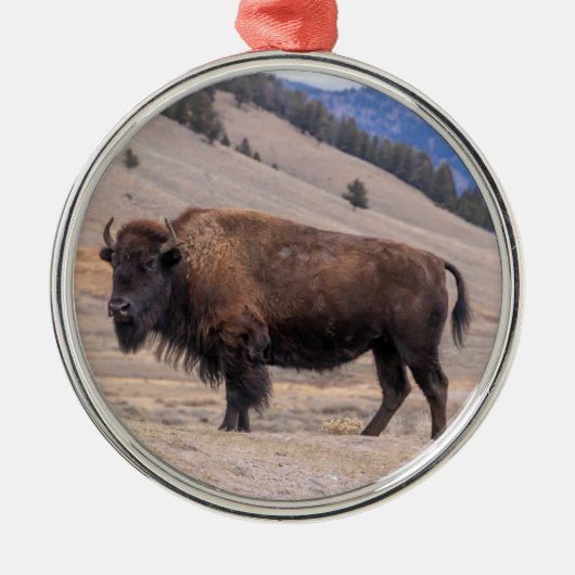 Buffalo Bison Oranment Metalen Ornament (Voorkant)