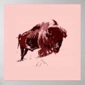 Buffalo - Bison Poster (Voorkant)