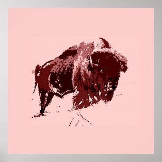 Buffalo - Bison Poster (Voorkant)
