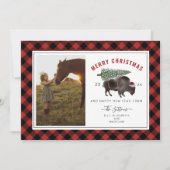 Buffalo Bison Pset Red Pset kerstfoto Feestdagenkaart (Voorkant)