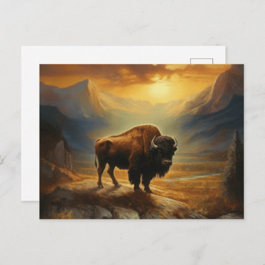 Buffalo Bison Sunset Silhouet Briefkaart (Voorkant / Achterkant)
