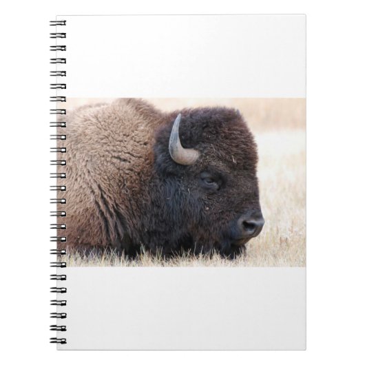 Buffalo Bison Up Close Notitieboek (Voorkant)