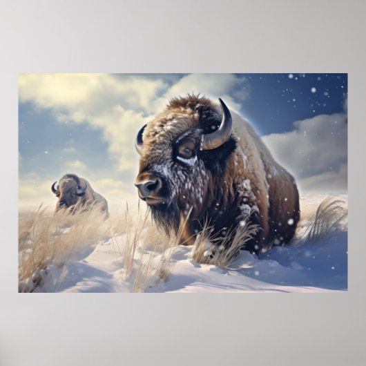 Buffalo Bizon Dier Wilde natuur Kleurrijk Poster (Voorkant)