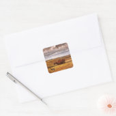 Buffalo Bones Omgeploegd door Harvey Thomas Dunn Vierkante Sticker (Envelop)