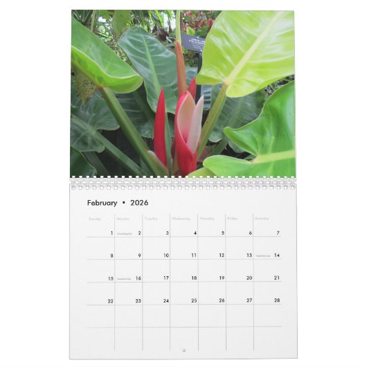 Buffalo Botanische tuinen 2019 Kalender (Feb 2026)