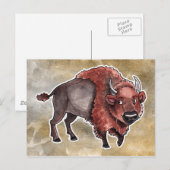 Buffalo Briefkaart (Voorkant / Achterkant)