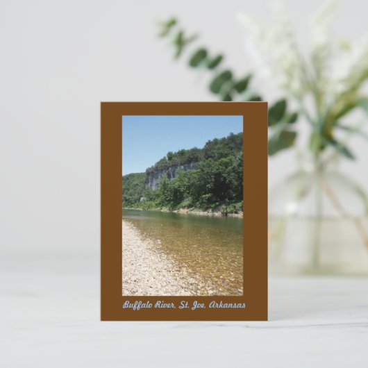 Buffalo Briefkaart (Staand voorkant)