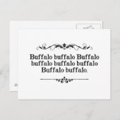 Buffalo Buffalo Sententie Briefkaart (Voorkant / Achterkant)