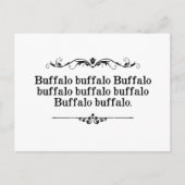Buffalo Buffalo Sententie Briefkaart (Voorkant)