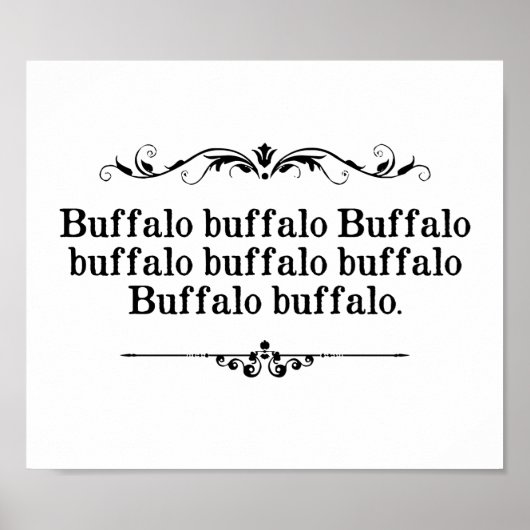 Buffalo Buffalo Sententie Poster (Voorkant)