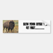 BUFFALO BUMPERSTICKER (Voorkant)