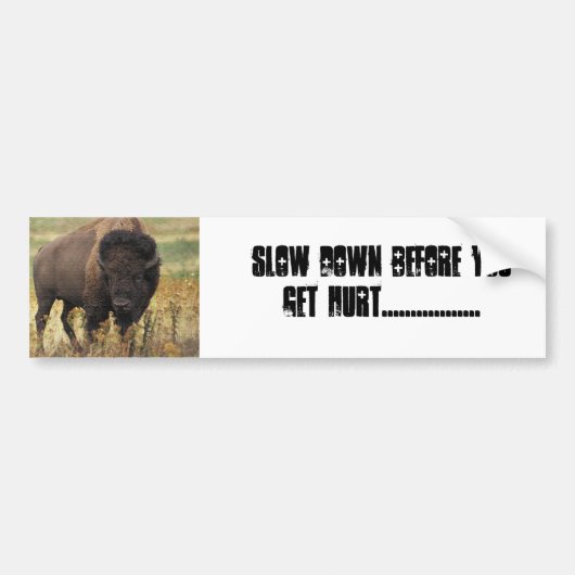 BUFFALO BUMPERSTICKER (Voorkant)