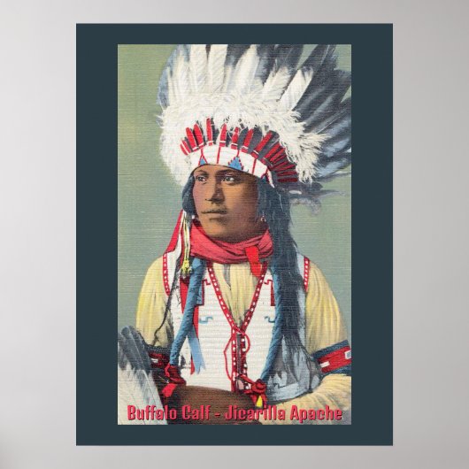 Buffalo Calf Native American Poster (Voorkant)
