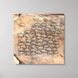 Buffalo Canvas Afdruk