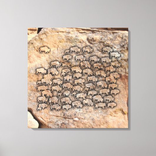 Buffalo Canvas Afdruk (Voorkant)