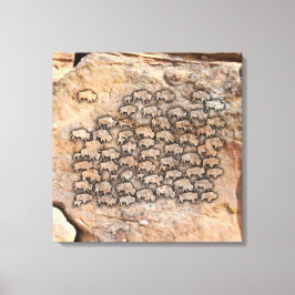 Buffalo Canvas Afdruk