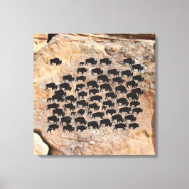 Buffalo Canvas Afdruk