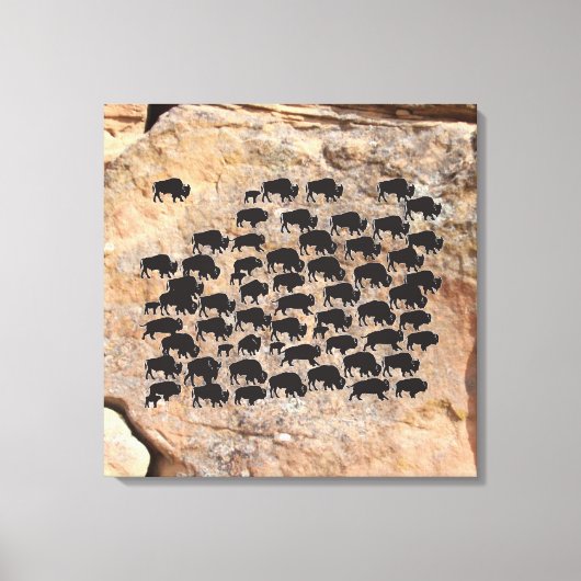 Buffalo Canvas Afdruk (Voorkant)