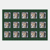 Buffalo Check Pet met Kerstmis Inpakpapier Vel (Voorkant)