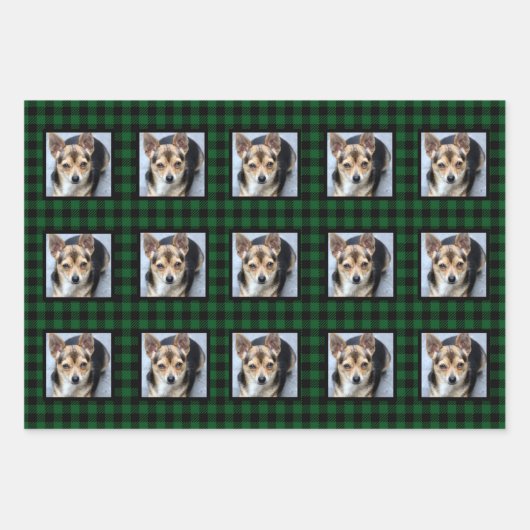 Buffalo Check Pet met Kerstmis Inpakpapier Vel (Voorkant)