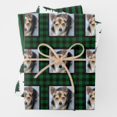 Buffalo Check Pet met Kerstmis Inpakpapier Vel (In situ)