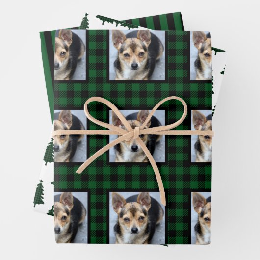 Buffalo Check Pet met Kerstmis Inpakpapier Vel (In situ)