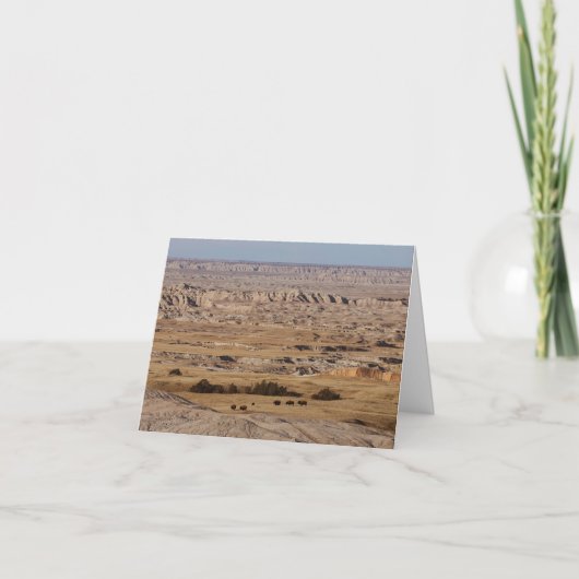 Buffalo Country - Dankkaart Bedankkaart (Voorkant)