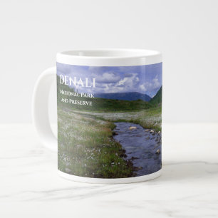 Buffalo Creek, Nationaal Park Denali en Preserve Grote Koffiekop