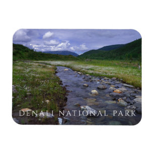 Buffalo Creek, Nationaal Park Denali en Preserve Magneet